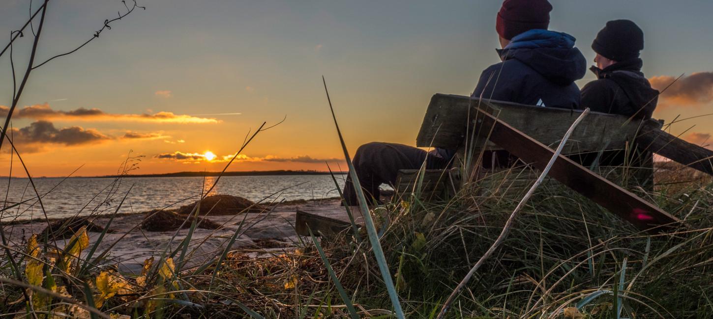 Insel | Avernakø | Natur | Meerforellen | Angeln | Fahrradurlaub | Faaborg