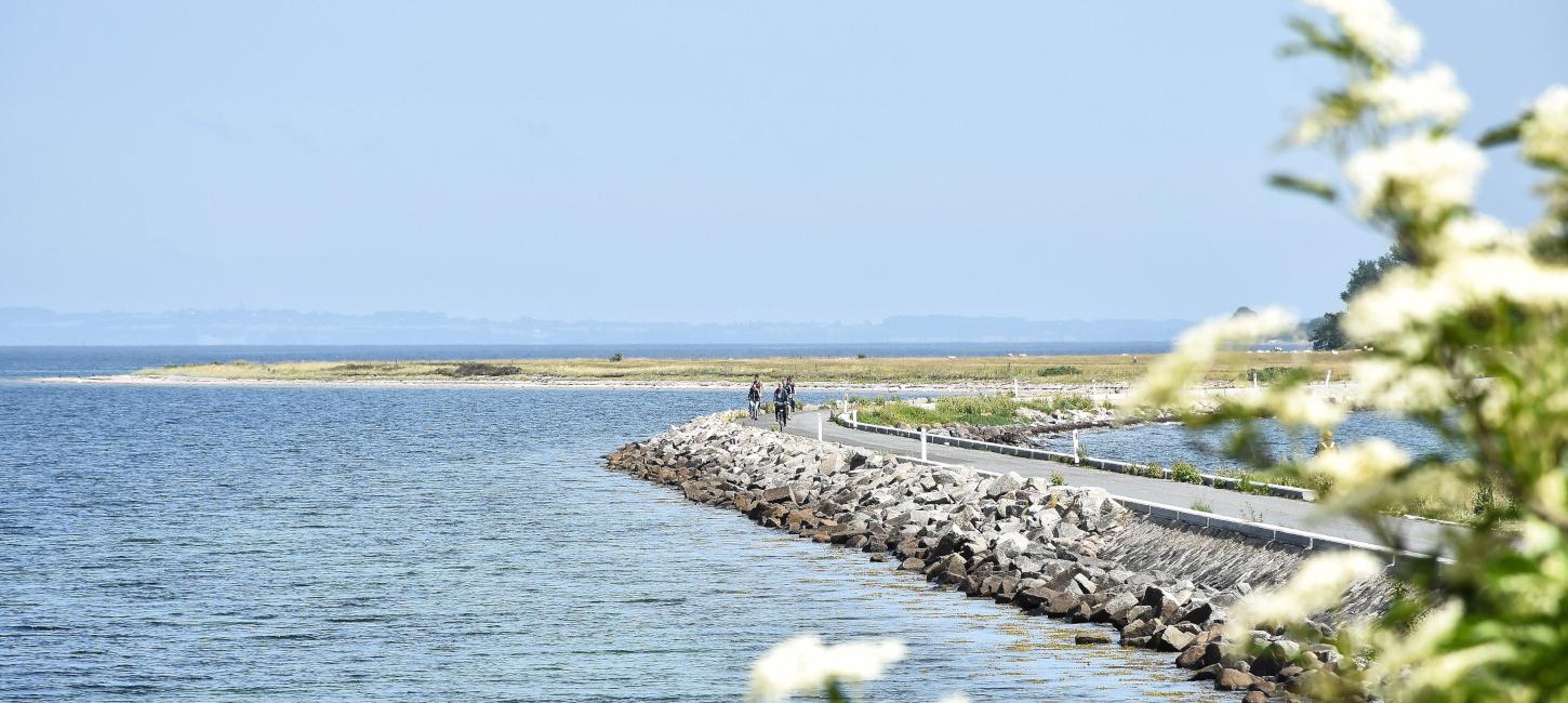 Fahrradurlaub | Ostseeroute | Radwanderwege | Faaborg | Südfünen | Dänemark