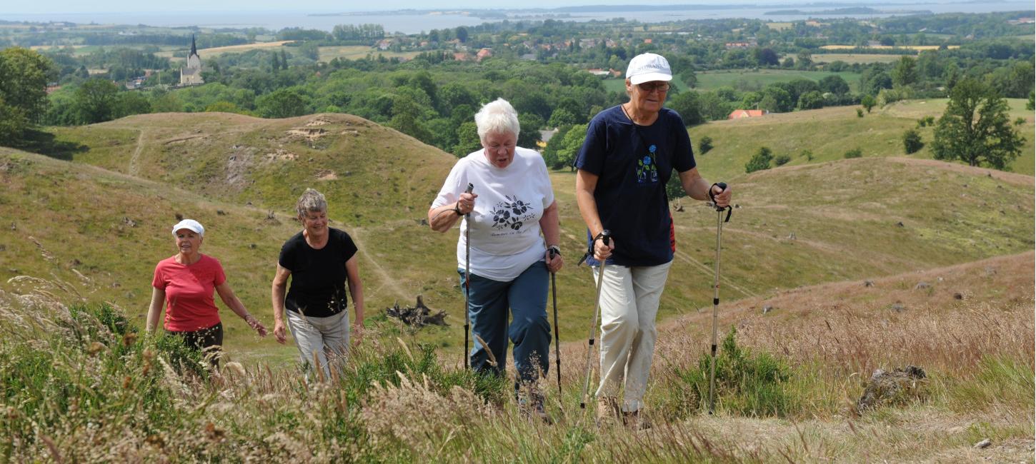 Svanninge | Berge | Wandern | Wanderweg | Inselmeer | Faaborg