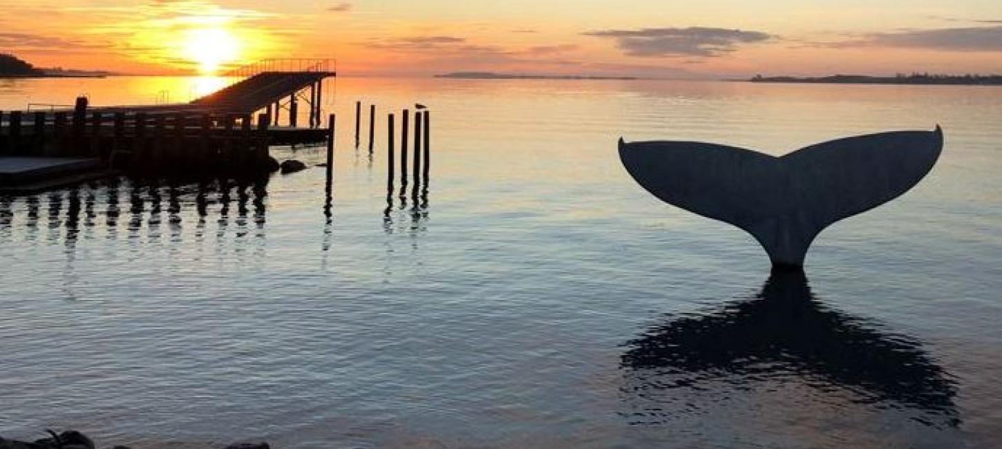 Hvalhalen ved Faaborg Havnebad ved solopgang | Hotels i kommunen | VisitFaaborg
