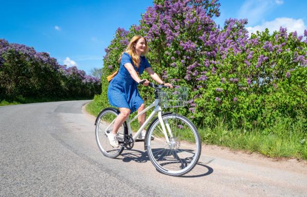 Urlaub auf dem Fahrrad | Tag der Flieder auf Südfünen | VisitFaaborg