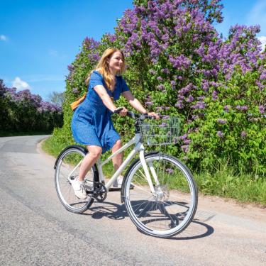 Urlaub auf dem Fahrrad | Tag der Flieder auf Südfünen | VisitFaaborg
