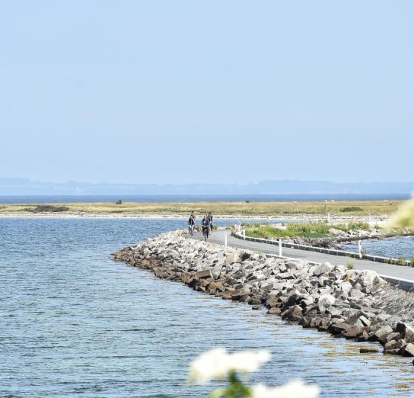 Fahrradurlaub | Ostseeroute | Radwanderwege | Faaborg | Südfünen | Dänemark