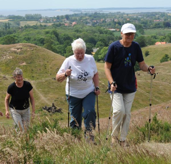 Svanninge | Berge | Wandern | Wanderweg | Inselmeer | Faaborg