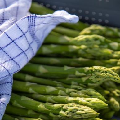 Asparagus from Knabegaarden on South of Funen