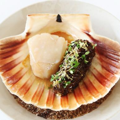 Muschelschale mit Jakobsmuschel