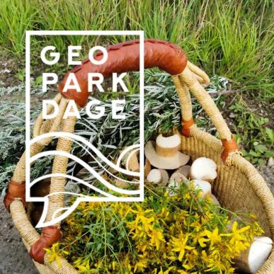 Geopark Dage 2024 event Sanselig plantevandring med Plantepressen