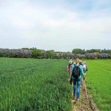 Wandern im Land des Flieders