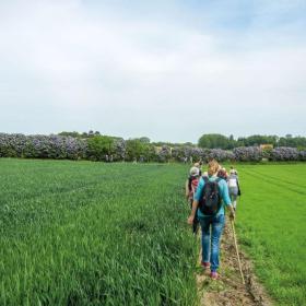 Vandretur i Syrenland | Sydfynske Syrendage | VisitFaaborg